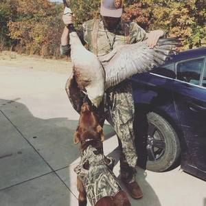 Meet your Posher, Ben